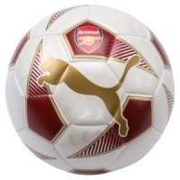 Arsenal Fan Ball Mini